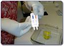 Florida Mandatory Drug Testing Ruled Unconstitutional