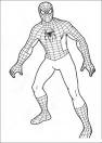 Spiderman coloring page