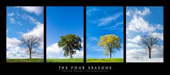 The Seasons