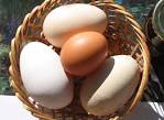 Huevos - Wikicocinason