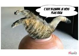 http://t3.gstatic.com/images?q=tbn:ANd9GcQiuPrzpoL2TNN5B2Wg0G9O3G3zuBjYQyJooTVLC7yW4HR4JXSxuwn0a3vroA