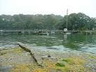 Taken on the first real wet day of autumn 2009. - via Daymix