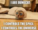 Dune review
