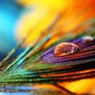 KICKIN' AND SCREAMIN'……….. » Blog Archive » ARTSY-FARTSY STUFF