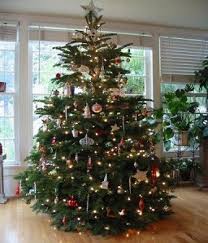 مجموعة صور لأجمل ـشجرة عيد الميلاد - صفحة 2 Images?q=tbn:ANd9GcQjEcHks5-zlmJpGt-mczs_8ogZzQl7zLmZKRR5HgTZd2CMibNM