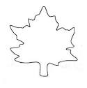 Leaves coloring page