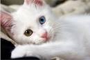 Really) Stunning Pictures and PHOTOS - Smashing Magazine