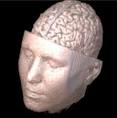 3D-DOCTOR Is Used To Provide