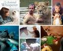 Call To The Wild: 7 Amazing Animal Whisperers | WebEcoist