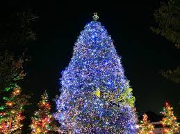 مجموعة صور لأجمل ـشجرة عيد الميلاد - صفحة 2 Images?q=tbn:ANd9GcQjxXPoF-HCWRT3tY51yRq3iu_lM8vWnwXgVxN-ysAdLQsD2r5kNQ