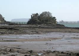 Ynys y Big