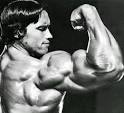 http://www.jewishjournal.com/images/bloggers_auto/arnold_schwarzenegger.jpg