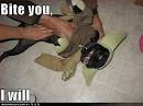 Y - 8 Gut-Busting Pictures of