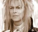 It stars David Bowie as the Goblin King You've got David Bowie. - jareth