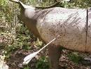 Successful Hunting    Traditional Archery