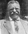 Guesswork Theory by Justin Scott: Quotes: Teddy Roosevelt, "The ...