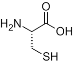 File:Cysteine.png - Wikipedia, the free encyclopedia