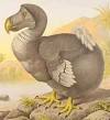 Extinction - Wikipedia, the free encyclopedia