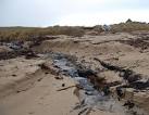 Stream on Newark Bay. An unnamed stream emerges from the marram grass and - via Daymix
