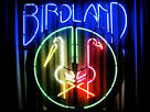 New York City Day 4  Vijay Iyer Trio   Birdland
