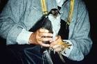 Queen charlotte goshawk public domain image picture in gallery Hawks falcons - via Daymix