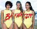 File:BaywatchHawaiicast.jpg - Wikipedia, the free encyclopedia