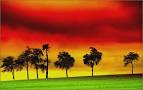 Generation Reggae « TreeMagazine – For People who CARE!