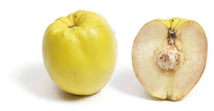    quince images?q=tbn:ANd9GcQ