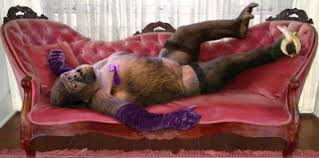 http://t3.gstatic.com/images?q=tbn:ANd9GcQmEZzBg8pZMl1oIjpKUC1FtN_keEKnVuEwyfj4g3oW4LtXFg0&t=1&usg=__dK8CGD69-zs2FcDjprF4lotL9lY=