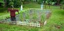 Vegetable Garden: Crop Rotation Made Easy | Danny Lipford