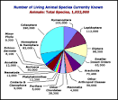 What is Biodiversity?
