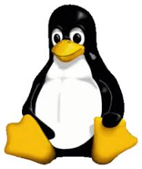 images?q=tbn:ANd9GcQmfFgEJvnqh25PYXO9tFGDEzqy46q-SE2ucZQ9n1ypDJlc9nqP