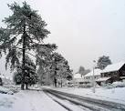 After freak snow storm on - via Daymix