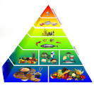 Gout Diet — The Gout Killer - Bert Middleton
