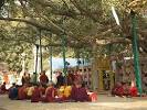 thezensite: Bodh Gaya