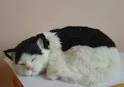 Furry Toy Sleeping Cat  CAT 27    China leather toycatanimal toy