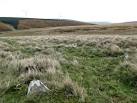 Five of the seven small stones that makes up this late neolithic/early - via Daymix