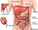 Lower Right Abdominal Pain 