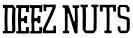 Interview with DEEZ NUTS : The Midlands Rocks