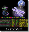 Most Common Question Asked: Bioinformatics Applications