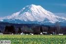 CVO Photo Archives - MOUNT RAINIER, Washington