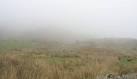 SH5645 : Leaving Treforus to the Mist and its Ghosts - via Daymix