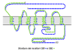 Cannabinoid receptor - Wikipedia, the free encyclopedia