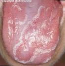 una <b>Lengua</b> geográfica