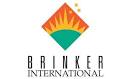 Using Intelligence to Beat Recession: Brinker International ...