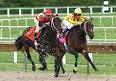 Horse racing - Wikipedia, the free encyclopedia