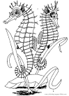 Seahorse coloring page