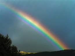 http://t3.gstatic.com/images?q=tbn:ANd9GcQpm2fBBkLbmcJ5s-blsYJEbjbelSG9IwgUw_1F3CEiwIrTJ-1dAg