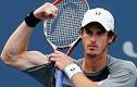 Jurgen Melzer - ANDY MURRAY