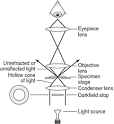 compound microscope - definition of compound microscope in the ...